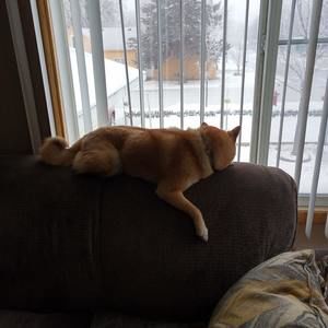 Meet your Posher, Jodi